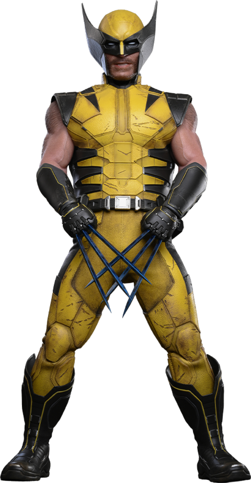 Wolverine Sixth Scale Figure by Hot Toys